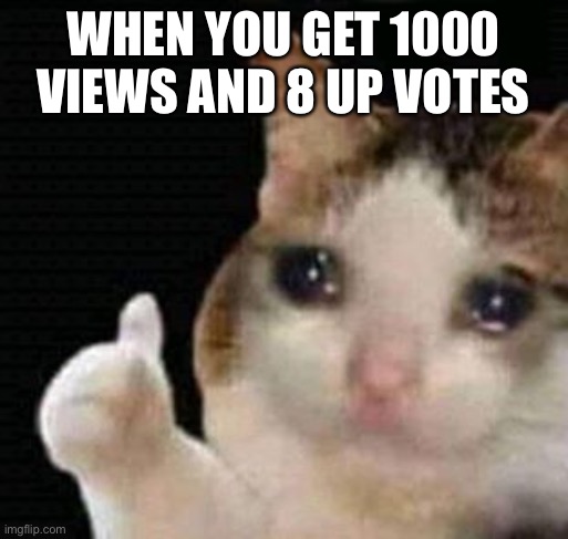 sad thumbs up cat |  WHEN YOU GET 1000 VIEWS AND 8 UP VOTES | image tagged in sad thumbs up cat | made w/ Imgflip meme maker