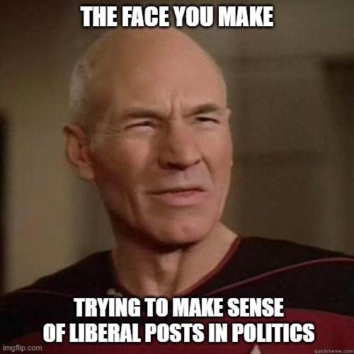 Picard just doesn't understand today's liberals | THE FACE YOU MAKE; TRYING TO MAKE SENSE OF LIBERAL POSTS IN POLITICS | image tagged in picard_disgusted,liberals,democrats,dimwits,imgflip users,woke | made w/ Imgflip meme maker