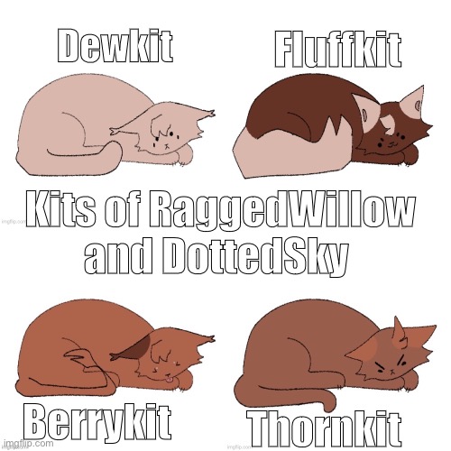They are four moons old | Fluffkit; Dewkit; Kits of RaggedWillow and DottedSky; Berrykit; Thornkit | made w/ Imgflip meme maker