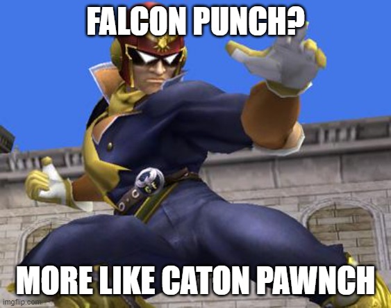 FALCON PUNCH? MORE LIKE CATON PAWNCH | image tagged in captain falcon | made w/ Imgflip meme maker