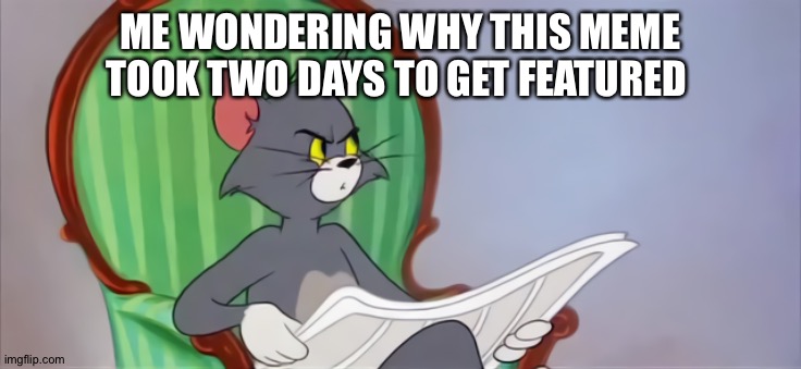 Tom (Newspaper HD) | ME WONDERING WHY THIS MEME TOOK TWO DAYS TO GET FEATURED | image tagged in tom newspaper hd | made w/ Imgflip meme maker