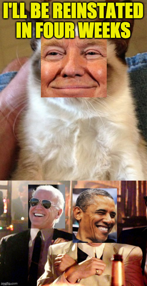 Trumpy Cat, the final chapter | I'LL BE REINSTATED IN FOUR WEEKS | image tagged in memes,grumpy cat,trump reinstatement,goodfellas,biden,obama | made w/ Imgflip meme maker