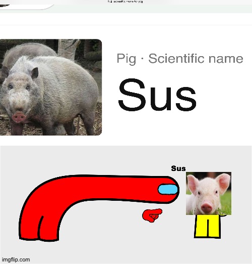 It's true. Look it up. | image tagged in among us sus,sus,among us,pig,piggy,why are you reading this | made w/ Imgflip meme maker