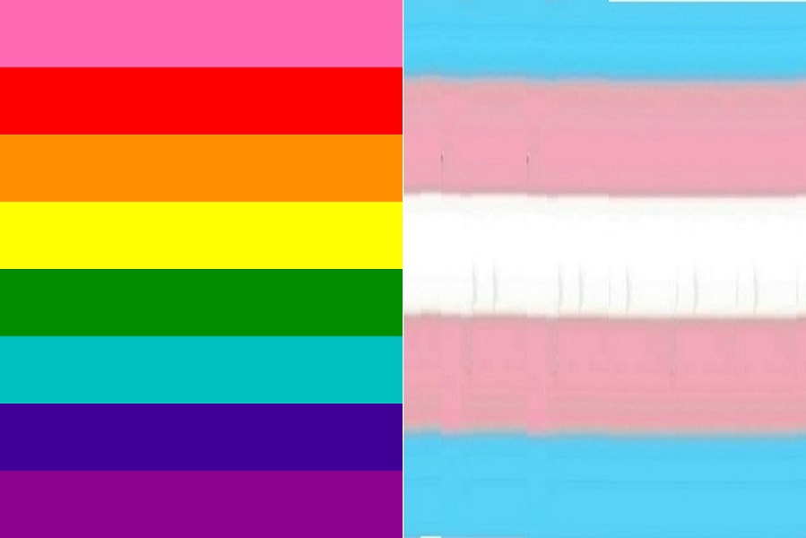 Pride trans pride Blank Meme Template