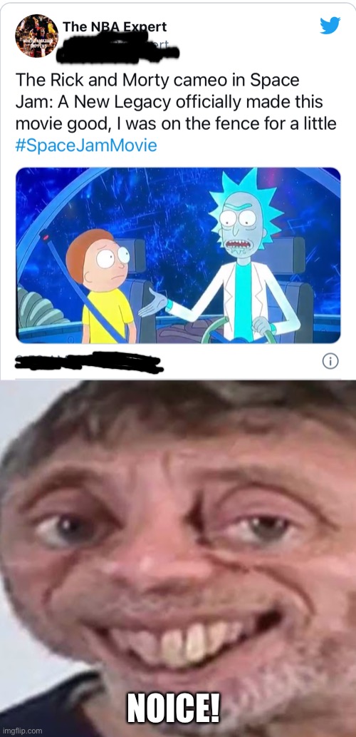 OMG! Rick & Morty cameo in Space Jam: A New Legacy! | NOICE! | image tagged in noice,space jam,memes,dank memes,funny,rick and morty | made w/ Imgflip meme maker