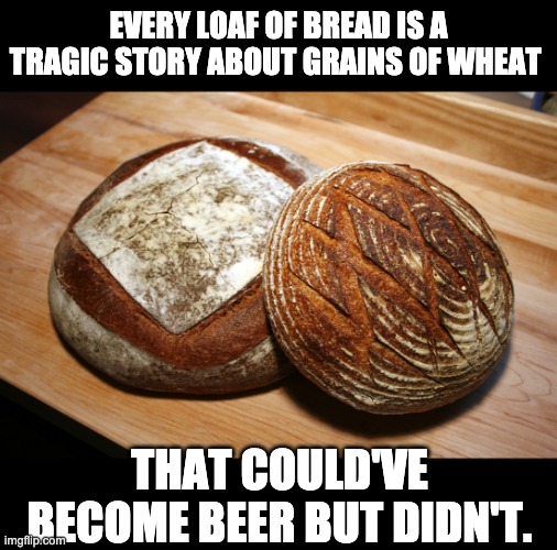 Wheat | EVERY LOAF OF BREAD IS A TRAGIC STORY ABOUT GRAINS OF WHEAT; THAT COULD'VE BECOME BEER BUT DIDN'T. | image tagged in sourdough bread | made w/ Imgflip meme maker