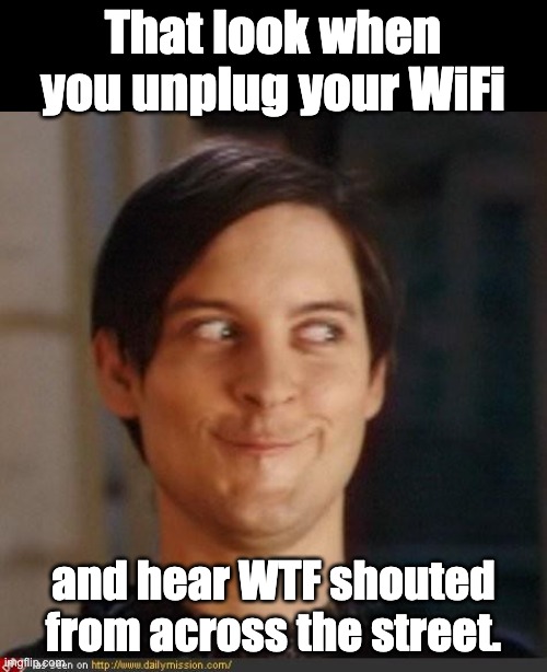 Hmmm | That look when you unplug your WiFi; and hear WTF shouted from across the street. | image tagged in that look you give your friend | made w/ Imgflip meme maker