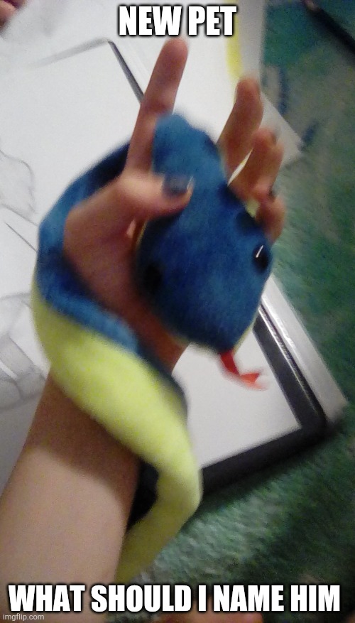 NEW PET; WHAT SHOULD I NAME HIM | made w/ Imgflip meme maker