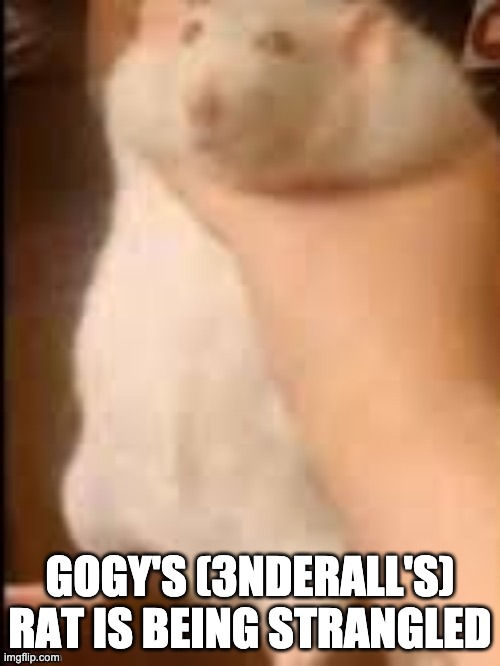 Man holding hamster | GOGY'S (3NDERALL'S) RAT IS BEING STRANGLED | image tagged in man holding hamster | made w/ Imgflip meme maker