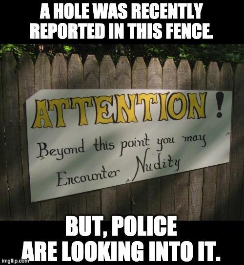 Eye See | A HOLE WAS RECENTLY REPORTED IN THIS FENCE. BUT, POLICE ARE LOOKING INTO IT. | image tagged in bad pun | made w/ Imgflip meme maker