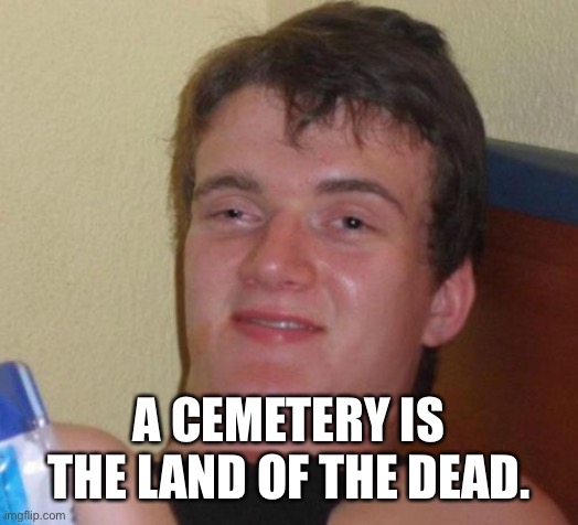 10 Guy Meme | A CEMETERY IS THE LAND OF THE DEAD. | image tagged in memes,10 guy | made w/ Imgflip meme maker