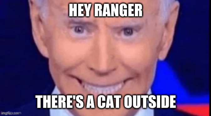 Not a cat, was just lindsay graham | HEY RANGER; THERE'S A CAT OUTSIDE | image tagged in i said dont squeeze the charmin | made w/ Imgflip meme maker