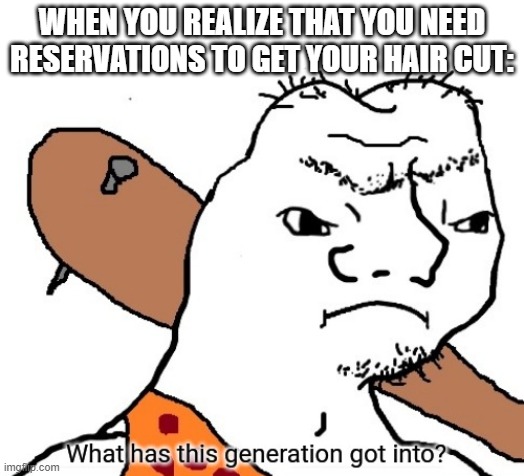 *sighs* | WHEN YOU REALIZE THAT YOU NEED RESERVATIONS TO GET YOUR HAIR CUT: | image tagged in what has this generation got into | made w/ Imgflip meme maker