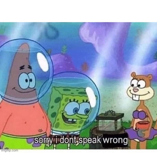 sorry i dont speak wrong | image tagged in sorry i dont speak wrong | made w/ Imgflip meme maker