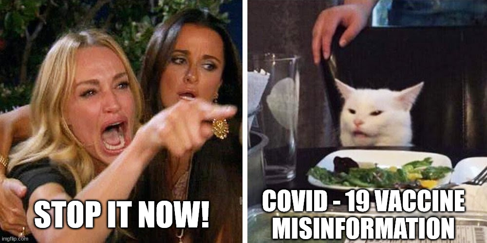 Covid-19 | STOP IT NOW! COVID - 19 VACCINE 
MISINFORMATION | image tagged in smudge the cat,covid-19,misinformation | made w/ Imgflip meme maker