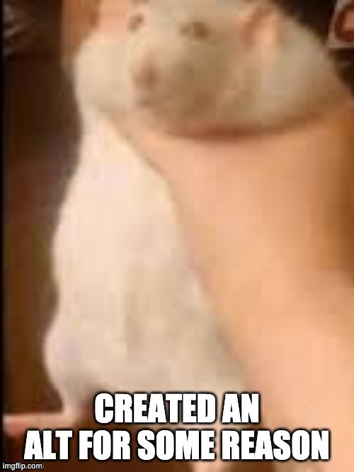 a | CREATED AN ALT FOR SOME REASON | image tagged in man holding hamster | made w/ Imgflip meme maker