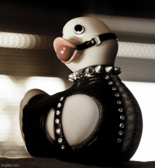 Oop- | image tagged in bondage ducky | made w/ Imgflip meme maker