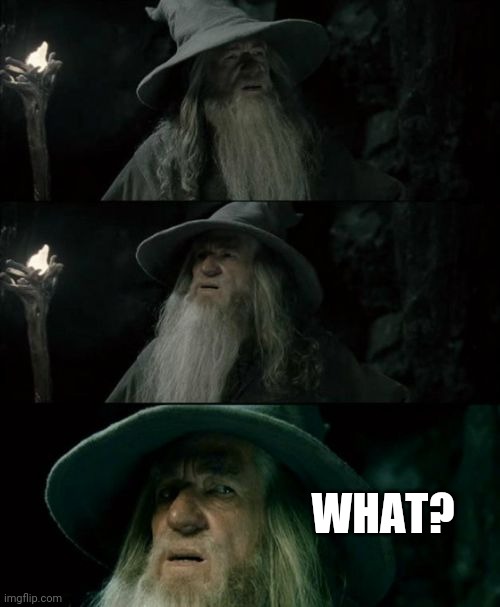 Confused Gandalf Meme | WHAT? | image tagged in memes,confused gandalf | made w/ Imgflip meme maker