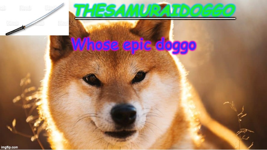 TheSamuraiDoggo's Temp (Thanks friend!) | Whose epic doggo | image tagged in thesamuraidoggo's temp thanks friend | made w/ Imgflip meme maker