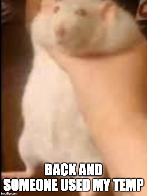 Man holding hamster | BACK AND SOMEONE USED MY TEMP | image tagged in man holding hamster | made w/ Imgflip meme maker