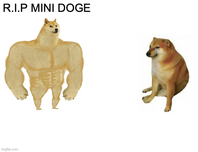 mini doge be like | R.I.P MINI DOGE | image tagged in memes,buff doge vs cheems | made w/ Imgflip meme maker