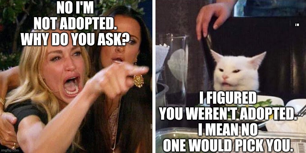 Smudge the cat | NO I'M NOT ADOPTED. WHY DO YOU ASK? J M; I FIGURED YOU WEREN'T ADOPTED. I MEAN NO ONE WOULD PICK YOU. | image tagged in smudge the cat | made w/ Imgflip meme maker