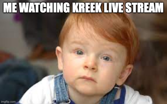 me watching kreekcraft... | ME WATCHING KREEK LIVE STREAM | image tagged in kreek be like | made w/ Imgflip meme maker