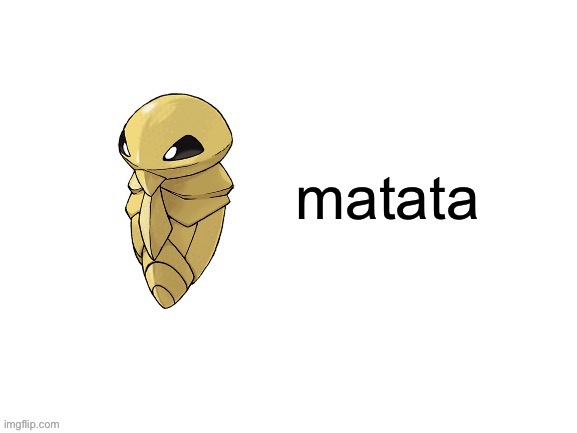 iT mEaNs No WoRrIeS | made w/ Imgflip meme maker