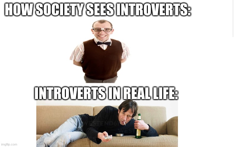 how society views introverts vs real life | HOW SOCIETY SEES INTROVERTS:; INTROVERTS IN REAL LIFE: | image tagged in introverts,social anxiety,funny,fun,society,real life | made w/ Imgflip meme maker
