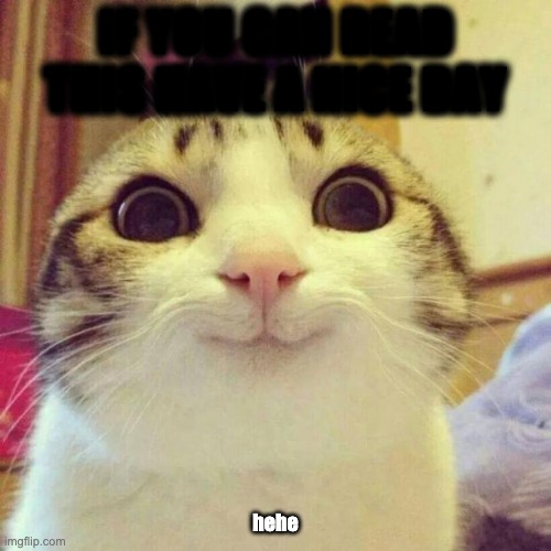Smiling Cat Meme | IF YOU CAN READ THIS HAVE A NICE DAY; hehe | image tagged in memes,smiling cat | made w/ Imgflip meme maker