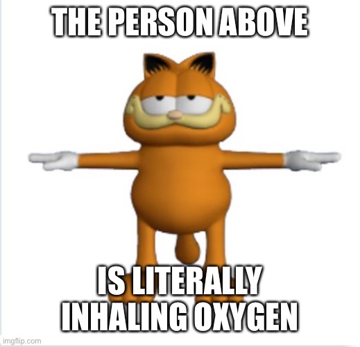 garfield t-pose | THE PERSON ABOVE; IS LITERALLY INHALING OXYGEN | image tagged in garfield t-pose | made w/ Imgflip meme maker