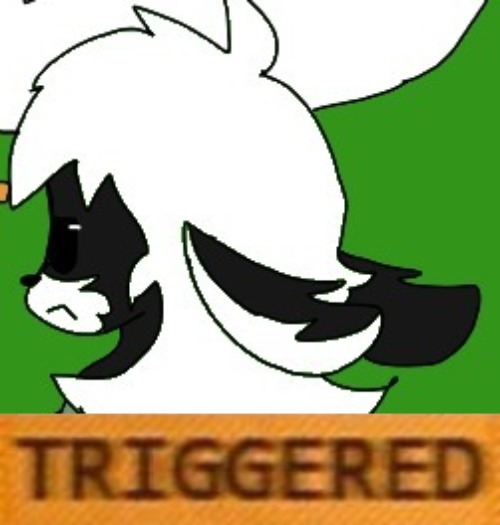 image tagged in when you get triggerd twice | made w/ Imgflip meme maker
