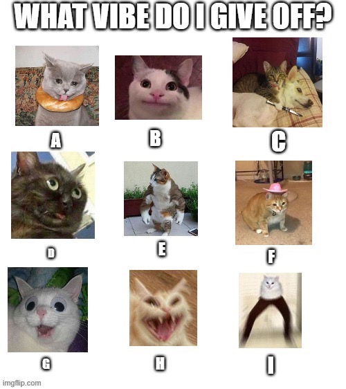 Credit: waffles made this | made w/ Imgflip meme maker