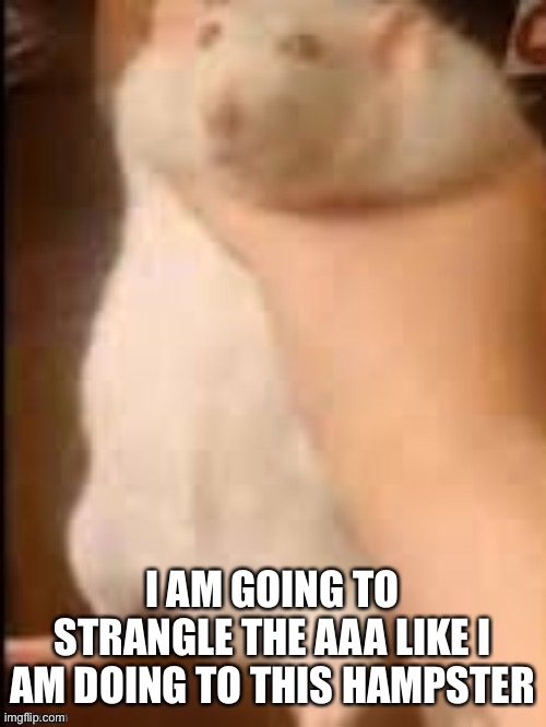 Man holding hamster | I AM GOING TO STRANGLE THE AAA LIKE I AM DOING TO THIS HAMPSTER | image tagged in man holding hamster | made w/ Imgflip meme maker