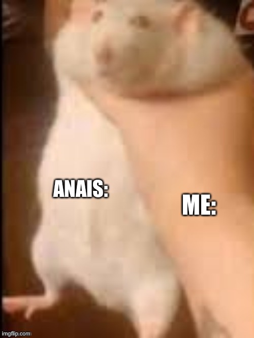 Man holding hamster | ME:; ANAIS: | image tagged in man holding hamster | made w/ Imgflip meme maker