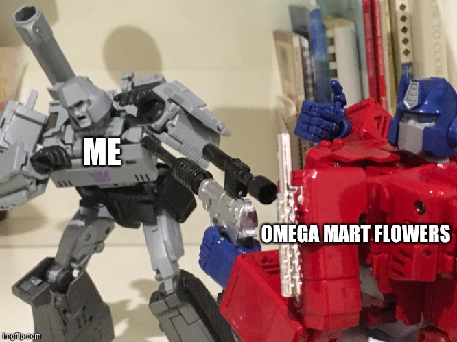 -q/a.z2w:s,c3e;d?c4f!t)n!u | ME; OMEGA MART FLOWERS | image tagged in optimus shoots megatron | made w/ Imgflip meme maker