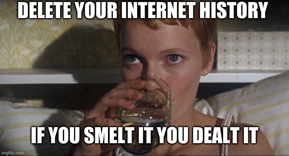 projection is when someone stupidly accuses you of something they secretly do | DELETE YOUR INTERNET HISTORY; IF YOU SMELT IT YOU DEALT IT | image tagged in rosemary,porn | made w/ Imgflip meme maker