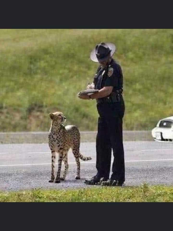Cop and cheetah Blank Meme Template