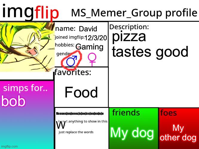 MSMG Profile | David; pizza tastes good; 12/3/20; Gaming; Food; bob; Nneuenjenjeneujejnejnejenjenjeje; My other dog; My dog; W | image tagged in msmg profile | made w/ Imgflip meme maker