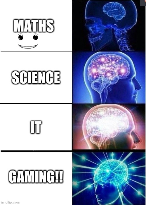Names dont really matter | MATHS; SCIENCE; IT; GAMING!! | image tagged in memes,expanding brain | made w/ Imgflip meme maker