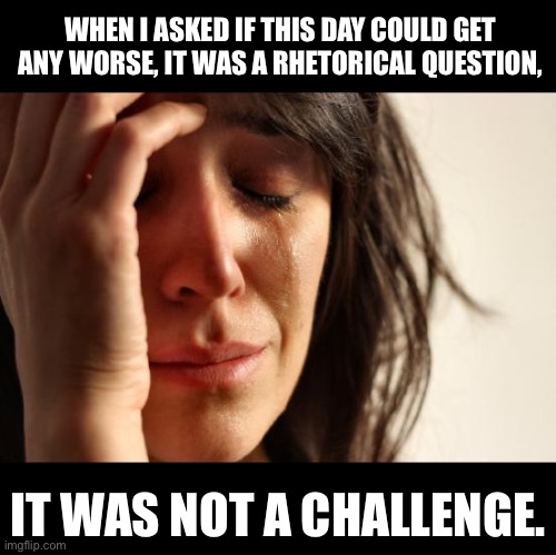 Worse | WHEN I ASKED IF THIS DAY COULD GET ANY WORSE, IT WAS A RHETORICAL QUESTION, IT WAS NOT A CHALLENGE. | image tagged in memes,first world problems | made w/ Imgflip meme maker