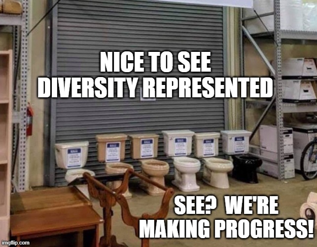 diversity toilet | NICE TO SEE DIVERSITY REPRESENTED; SEE?  WE'RE MAKING PROGRESS! | image tagged in toilet,diversity | made w/ Imgflip meme maker