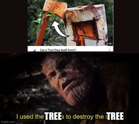 Tree destroyed tree | TREE                           TREE | image tagged in i used the stones to destroy the stones | made w/ Imgflip meme maker