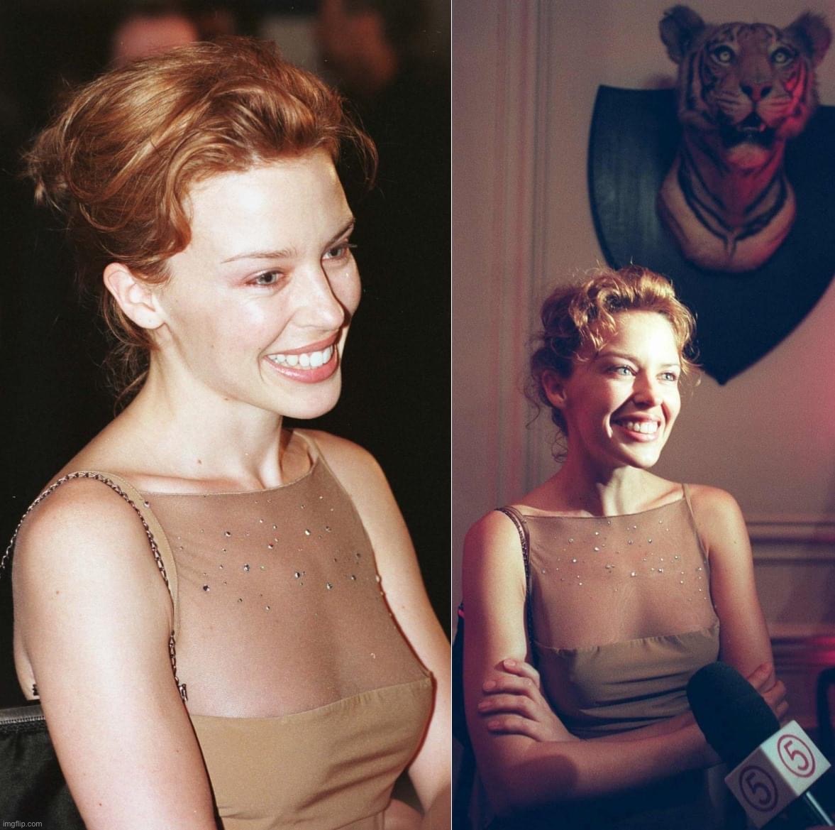 y would she kill that tiger just to have it for an interview. Rude | image tagged in kylie tiger | made w/ Imgflip meme maker