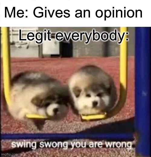 SWING SWONG YOU ARE WRONG | Me: Gives an opinion; Legit everybody: | image tagged in swing swong you are wrong | made w/ Imgflip meme maker