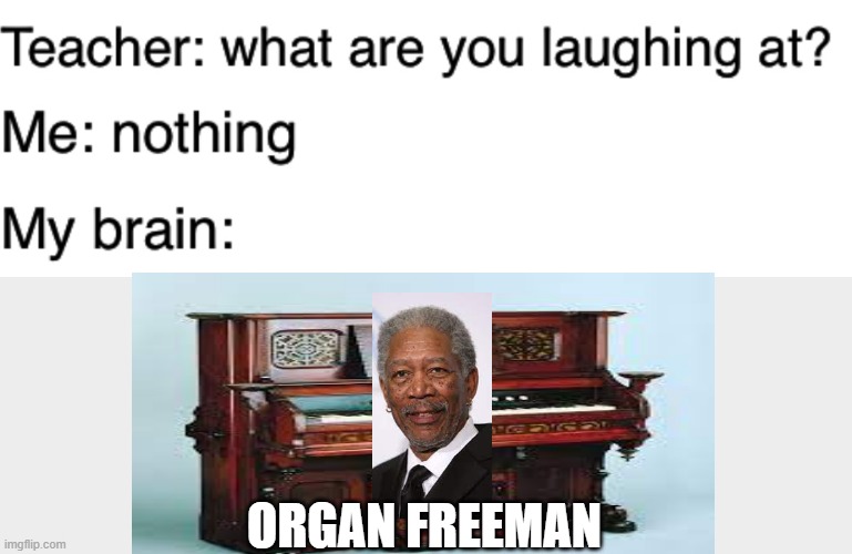 Low effort meme | ORGAN FREEMAN | image tagged in teacher what are you laughing at | made w/ Imgflip meme maker