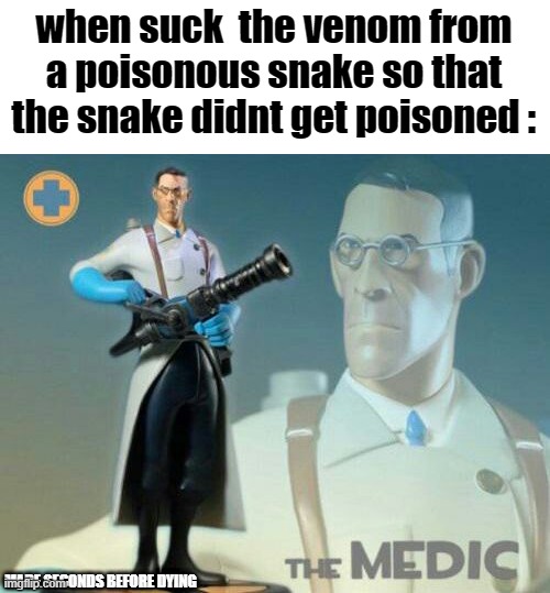 REMEMBER MEEEEEEEE | when suck  the venom from a poisonous snake so that the snake didnt get poisoned :; MADE SECONDS BEFORE DYING | image tagged in the medic tf2,memes,funny,gifs,not really a gif,oh wow are you actually reading these tags | made w/ Imgflip meme maker