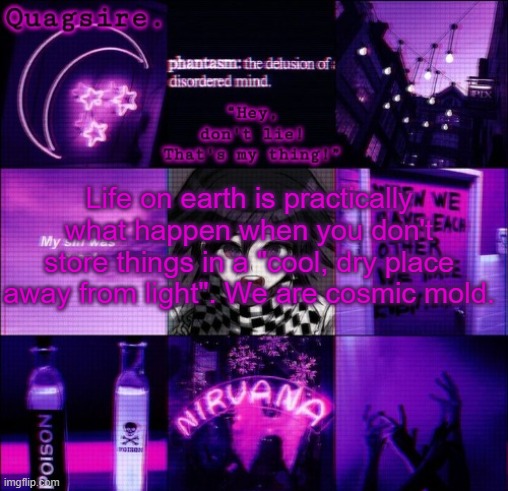 Life on earth is practically what happen when you don't store things in a "cool, dry place away from light". We are cosmic mold. | image tagged in quagsire's kokichi template | made w/ Imgflip meme maker
