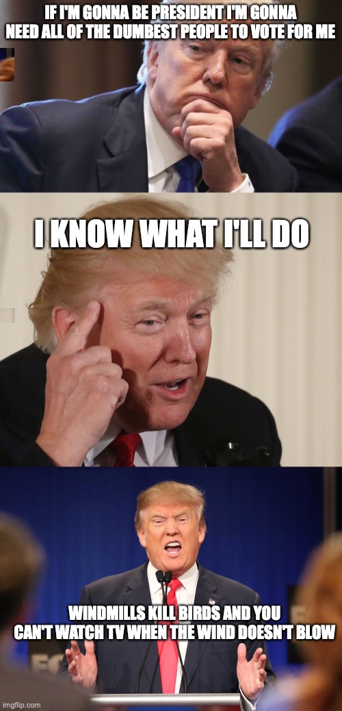 IF I'M GONNA BE PRESIDENT I'M GONNA NEED ALL OF THE DUMBEST PEOPLE TO VOTE FOR ME; I KNOW WHAT I'LL DO; WINDMILLS KILL BIRDS AND YOU CAN'T WATCH TV WHEN THE WIND DOESN'T BLOW | image tagged in trump thinking alabama prostitutes,trump thinking,donald trump angry debate | made w/ Imgflip meme maker