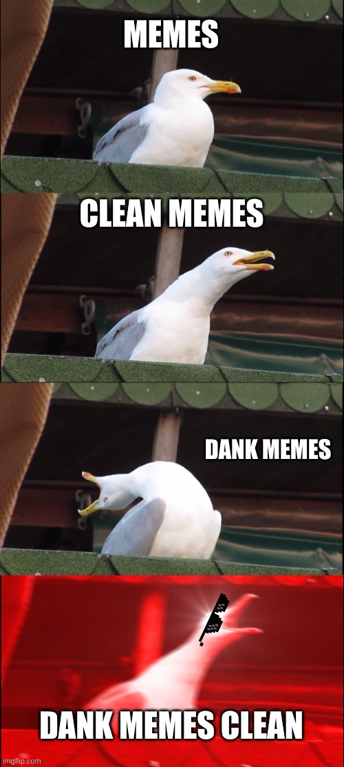 yes very memey | MEMES; CLEAN MEMES; DANK MEMES; DANK MEMES CLEAN | image tagged in memes,inhaling seagull | made w/ Imgflip meme maker